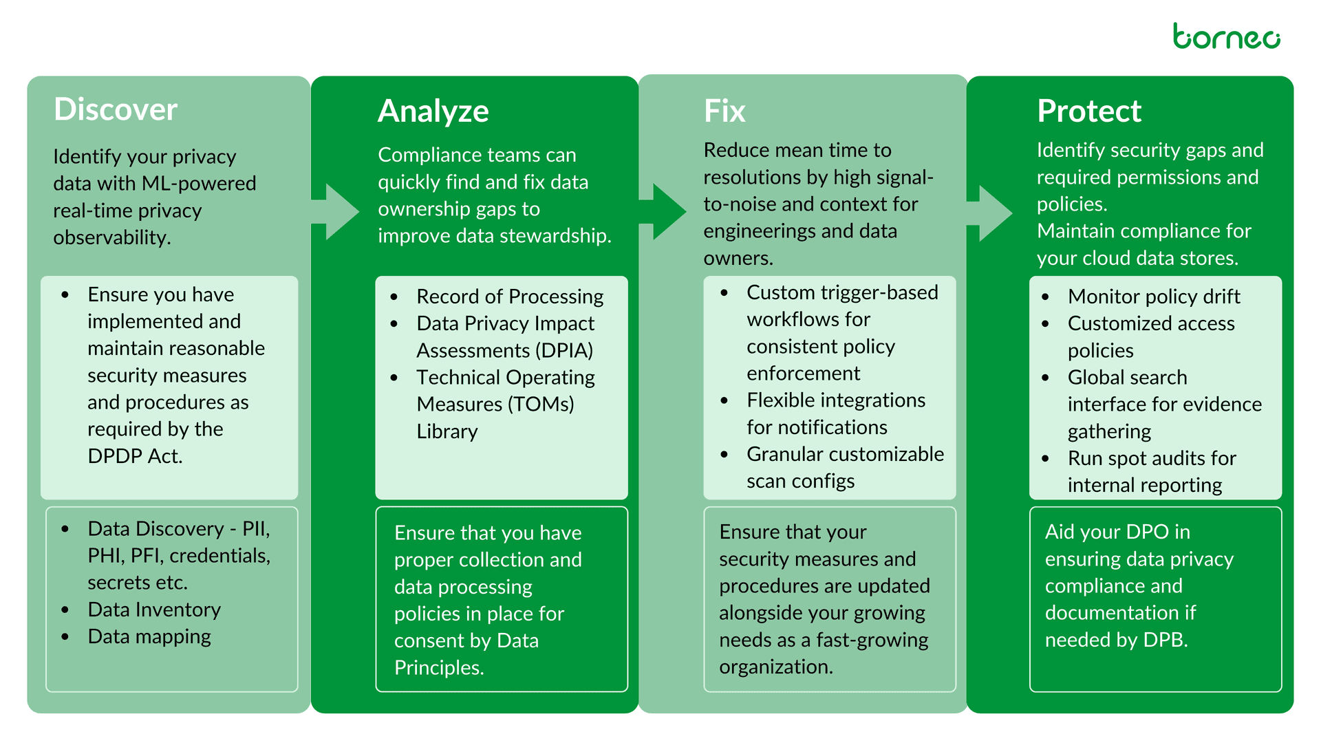 Borneo for DPDP Act 2023